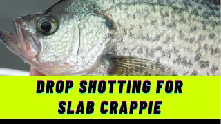 How to Catch Crappie with a Drop Shot Rig