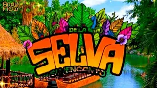 MIX DE LA SELVA SU ENCANTO /JUANECO Y SU COMBO, LOS MIRLOS, SONIDO 2000 , ECT . 🐒