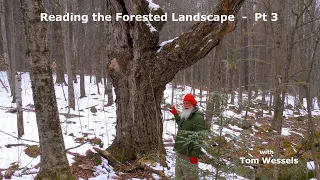Tom Wessels: Reading the Forested Landscape, Part 3