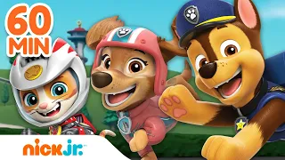 PAW Patrol Pups Unite for Rescues! w/ Chase, Cat Pack & Tracker | 1 Hour Compilation | Nick Jr.
