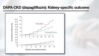 SGLT2 Inhibitors in Chronic Kidney Disease