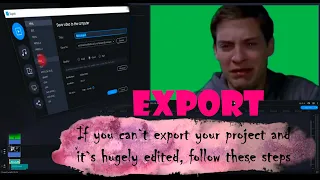 Problems with export? Movavi example solution