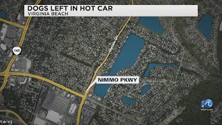 Dog dies after being left in hot car in VB