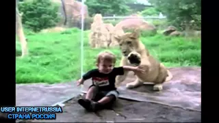 Приколы про Смешных детей в Подборке Юмор 2014 года Funny Compilation JOKEs Animals and Kids