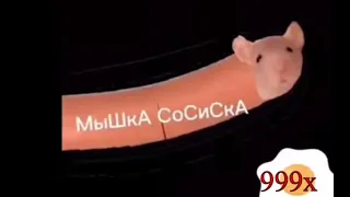 мышка сосиска, крыска ириска 999x