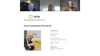 Online panel discussion: Social consequences COVID19