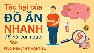 Tác hại của đồ ăn nhanh tới sức khỏe con người