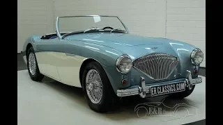 Austin Healey 100-4 BN2 1955-VIDEO- www.ERclassics.com