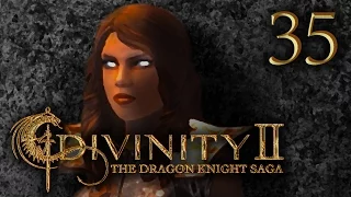 MEETING THE SERVANTS | Divinity 2: The Dragon Knight Saga #35