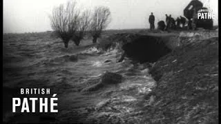 Schouwen-Duneland After The Floods Aka Schouwen-Duiveland (1953)
