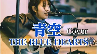 青空/THE BLUE HEARTS  cover #アコギ  #弾き語り  #路上ライブ  #シンガーソングライター  #カバー  #大阪梅田