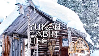 Yukon Cabin Life - Moose Burgers & Ptarmigan for Dinner - E.6