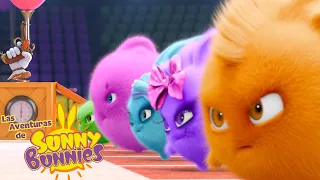 día de los deportes | Las Aventuras de Sunny Bunnies | Dibujos para niños