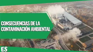 CONSECUENCIAS de la CONTAMINACIÓN AMBIENTAL ✅  (VIDEO EDUCATIVO) 📚