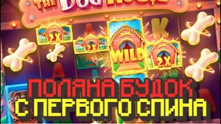 ПОЛЯНА БУДОК С ПЕРВОГО СПИНА В СОБАКАХ | THE DOG HOUSE MEGAWAYS #трепутин #бустер #заносынедели