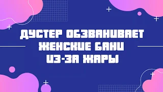 ЛМСГ: Дустер обзванивает женские бани из-за жары.