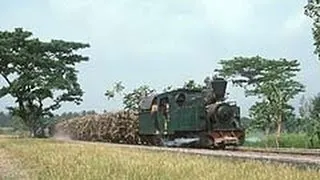 Gondang Baru Sugar Mill, Central Java, Indonesia, Part 1