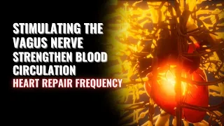 Stimulating The Vagus Nerve | Strengthen Blood Circulation | Heart Repair Frequency | VNS Therapy