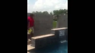 Pool and Palms