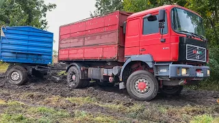 Sugar Beet Transport - MAN 19.403 4X4 in the MUD! 😮 Egy kis csapatás!  💪 Rübentransport 2020