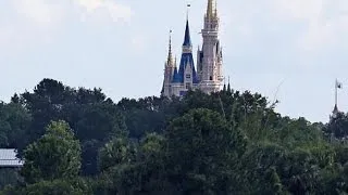 Can Disney be held accountable for alligator attack?