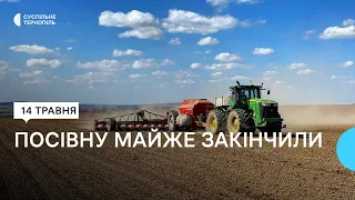 На Тернопільщині завершують посівну кампанію