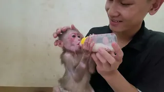 Exploited Pet Monkey Elly- Part 3