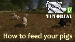 Farming Simulator 17 - How to feed your pigs - A Tutorial