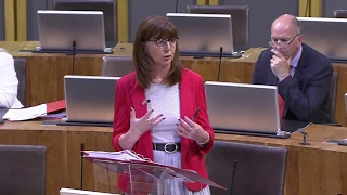 National Assembly for Wales Plenary 11.07.18