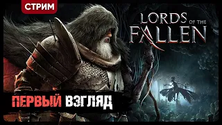 Lords of the Fallen 2023 | ПЕРВЫЙ ВЗГЛЯД НА МРАЧНЫЙ СОУЛСЛАЙК | Шалти стримит #1