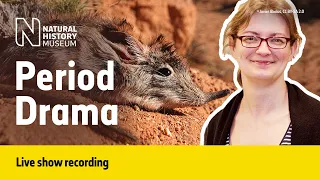 Do Animals Get Periods? | Live Talk with NHM Scientist