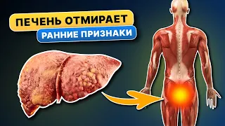 Первые 15 признаков того, что ВАША ПЕЧЕНЬ отмирает! 90% даже не догадываются...