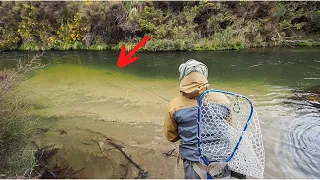 HUNTING Trout in the Middle of NOWHERE! [Fly Fishing]