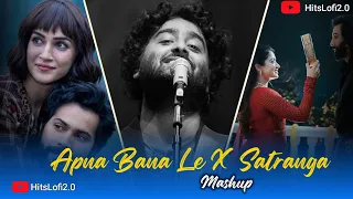 Apna Bana Le X Satranga Mashup | Arijit Singh | Best of 2024 Mashup | Animal Songs | Hits Lofi