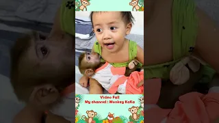 So Lovely and Cute! Baby Diem helps mom lull Monkey Hair Red to sleep