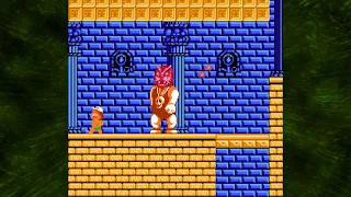 The Bosses of Adventure Island (NES) (Perfect - No Damage Run)