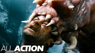 Man-Eating Bugs ATTACK | King Kong | All Action