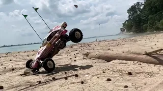 Tamiya Frog by the Sea