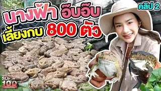 คลิป 2 | #น้องมด พาทัวร์ บ่ออ๊บอ๊บกว่า 800 ตัว | SUPER100