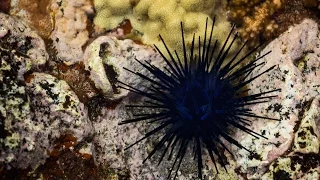 How to find the best tide pools to photograph