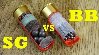 SG vs BB Shotgun Cartridges