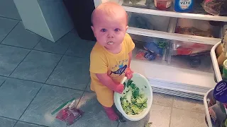 Funny Sneaky Babies Steal Everything #2 | Cute Funny Baby Video | Cute Awesomebaby