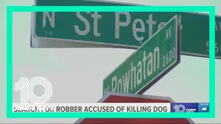 Police: Dog shot and killed during robbery attempt in Tampa