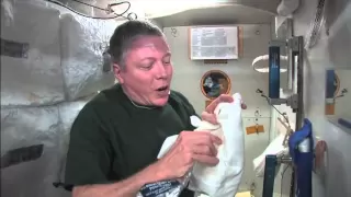 Space Hygiene: Showering in Space