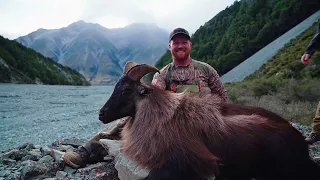 Himalayn Bull Tahr hunt in New Zealand