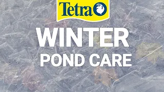 Winter Pond Care with Dave Hulse