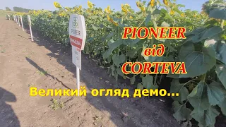 Великий огляд демо поля PIONEER