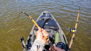 HECTIC BATTLE with a Monster Catfish! (Barge Bite?)