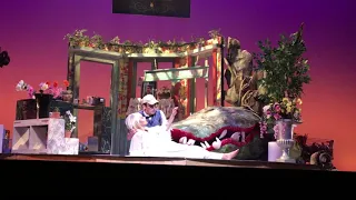 Somewhere That’s Green Reprise - Little Shop of Horrors