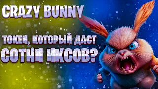 Crazy Bunny - обзор токена. Токен, который даст сотни иксов? Как купить CrazyBunny?